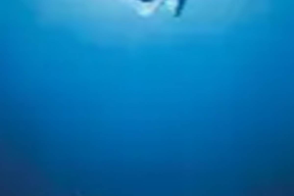 oceans.jpg