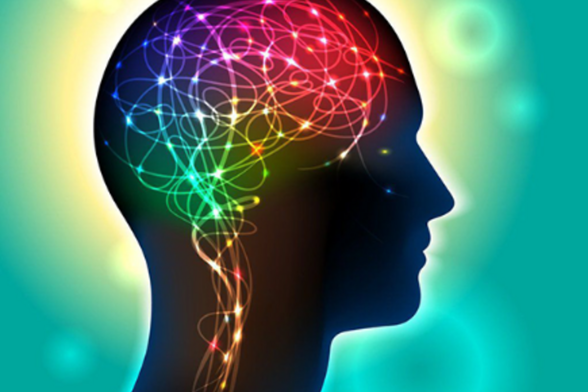 neurones_en_action.png